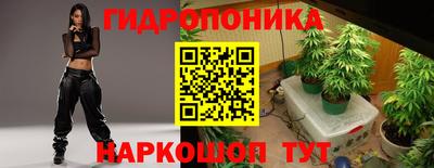 прущие грибы Донской